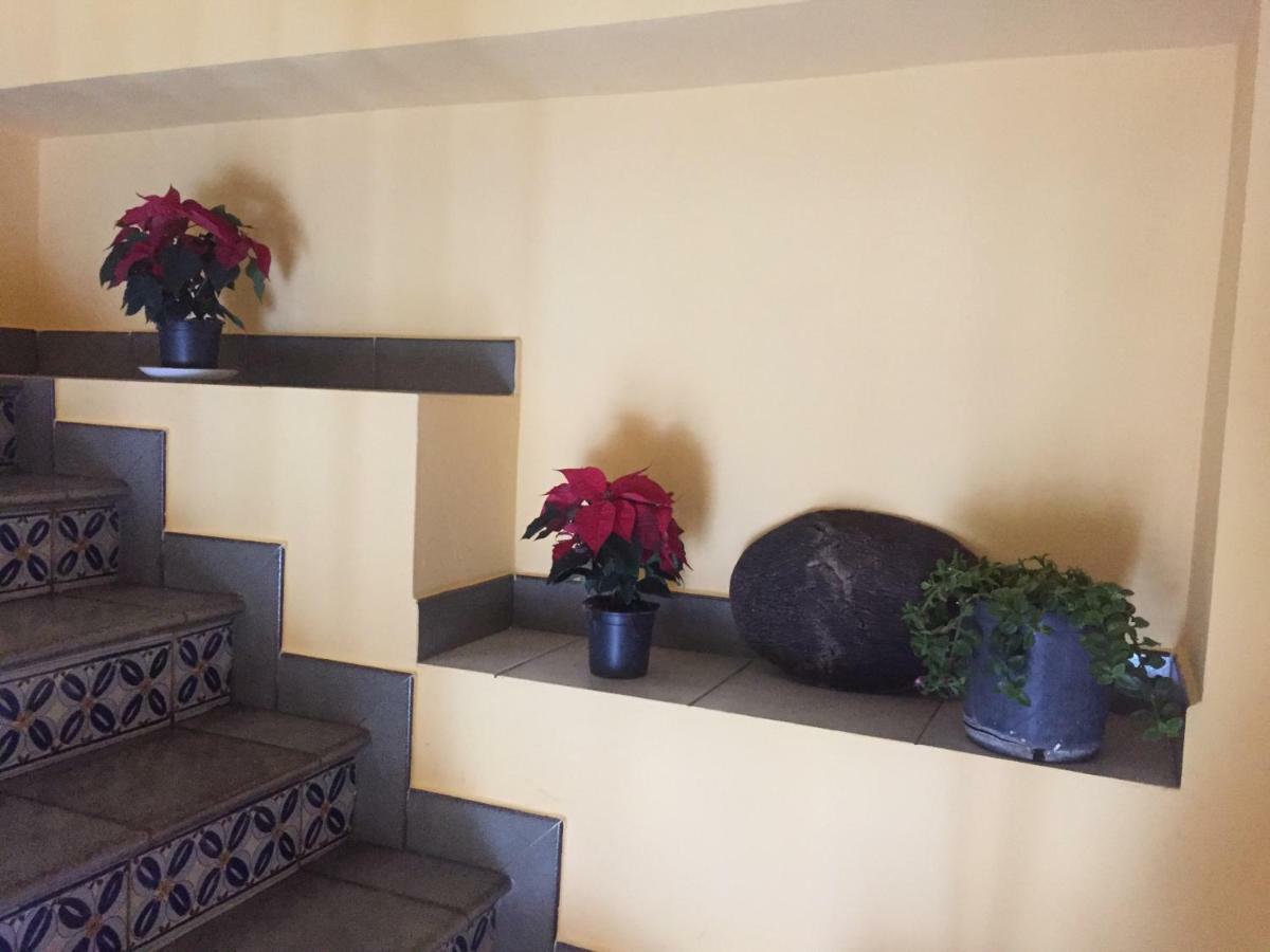 Casa Rural Miradas De 阿拉色那 外观 照片